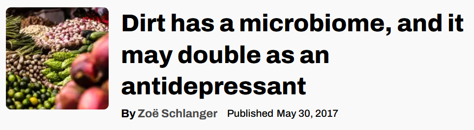 Screenshot of news article: Dirt has a microbiome, and it may double as an antidepressant