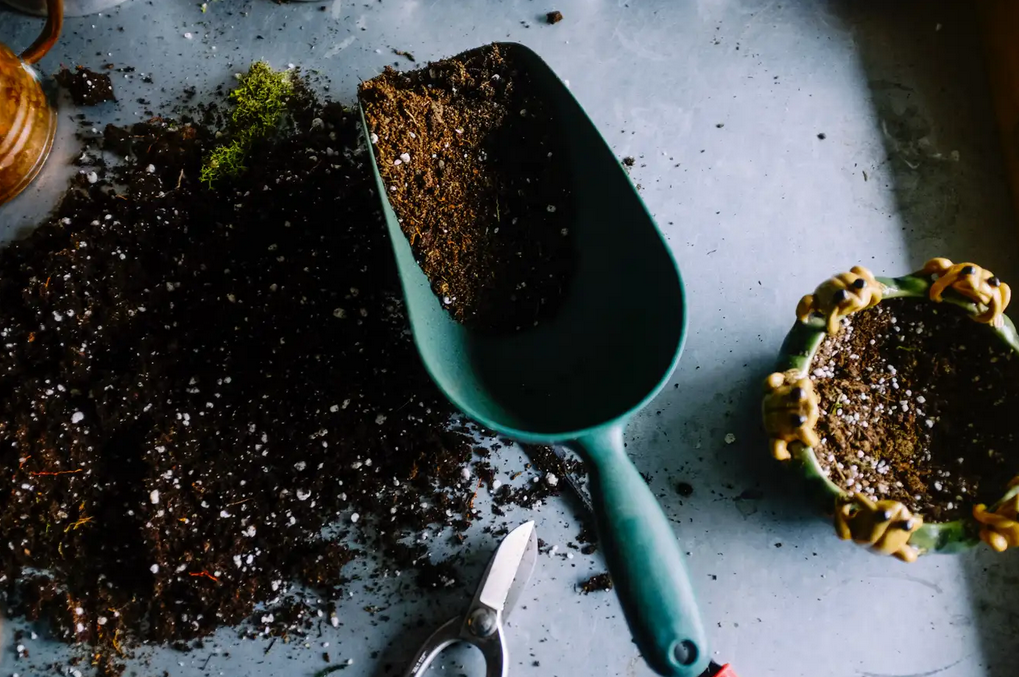 garden shovel with soil
