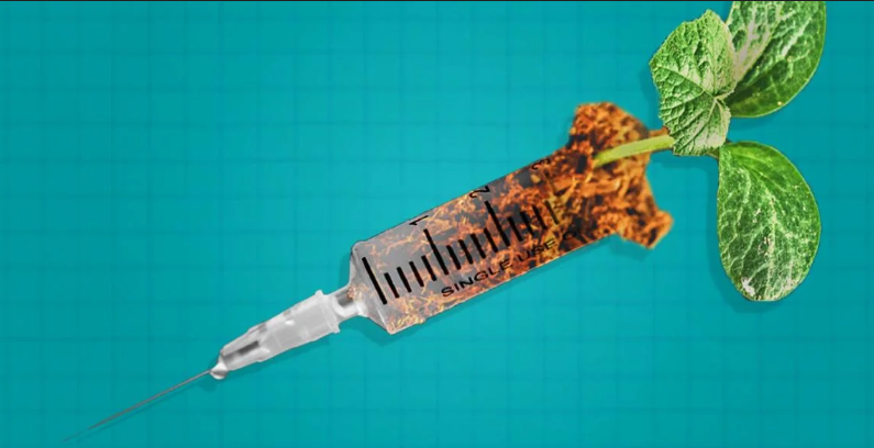 edited image of soil inside of syringe