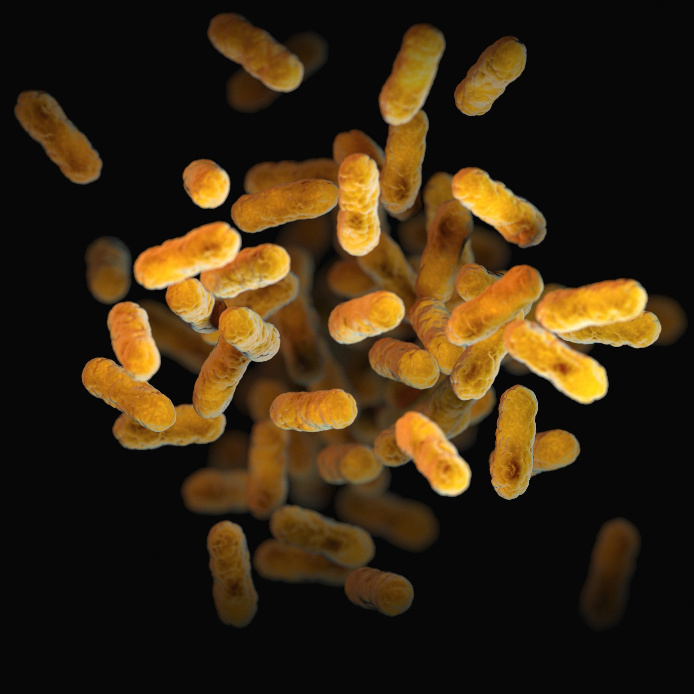 yellow gold bacteria