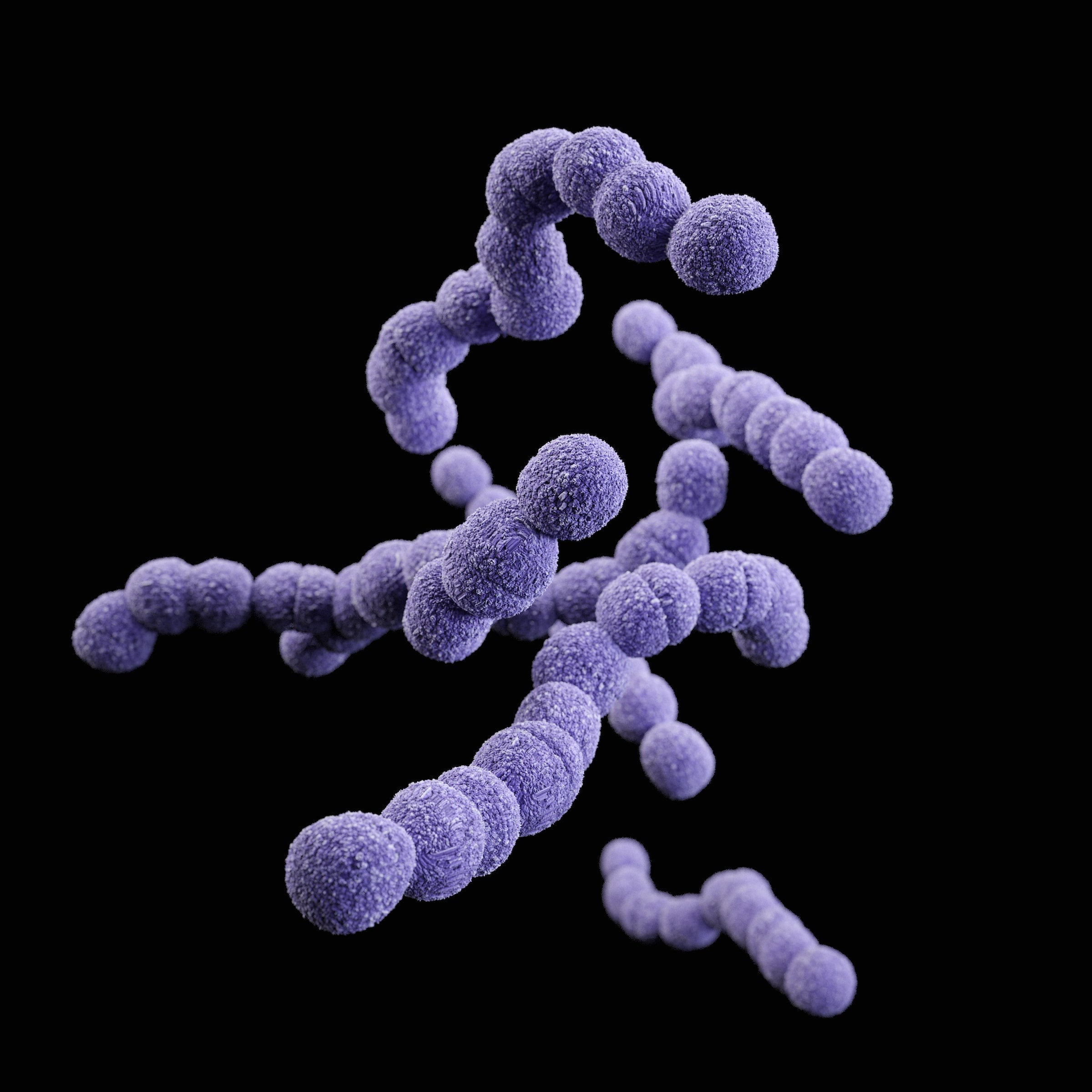 purple blue bacteria